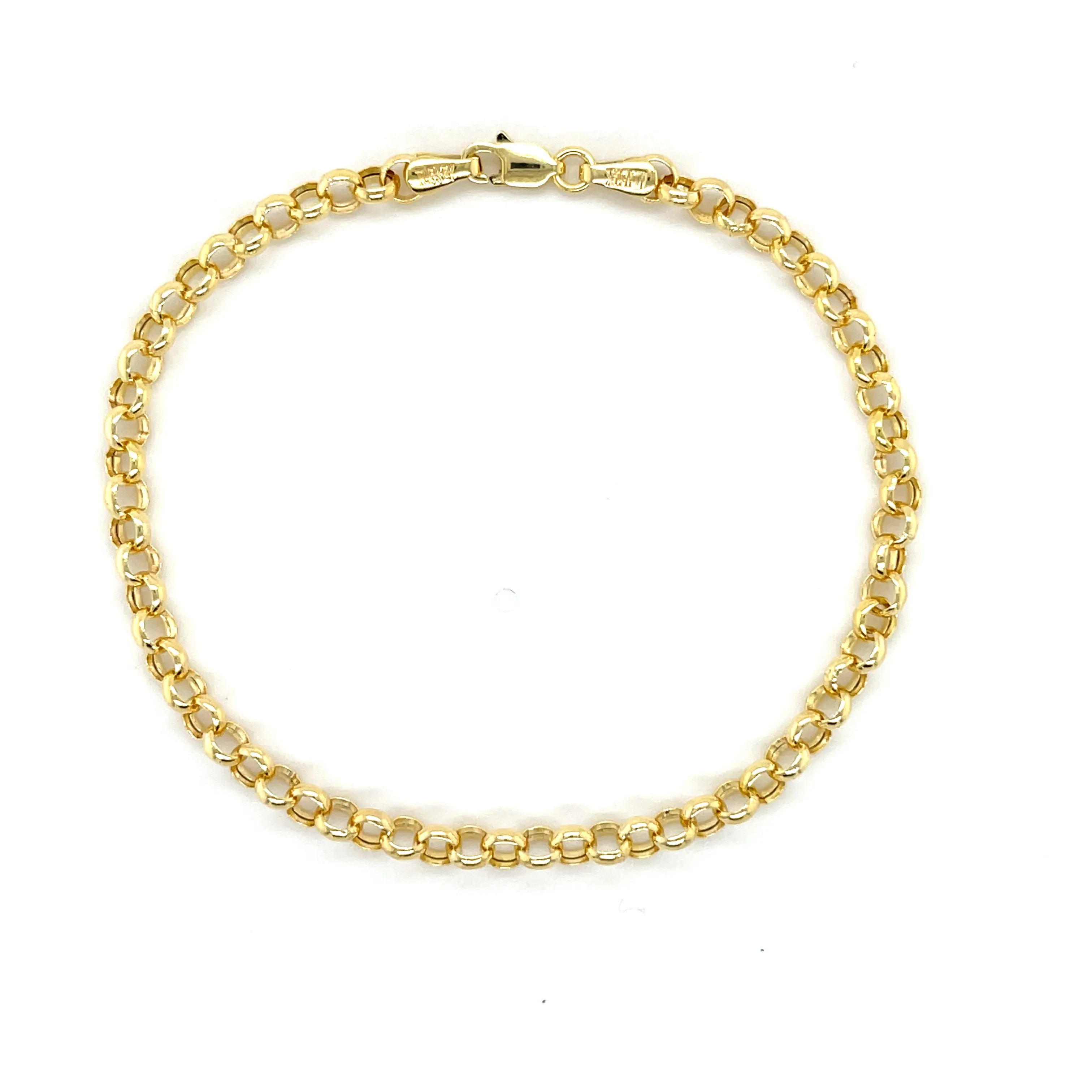 14K Gold 3.8 mm Rolo Anklet