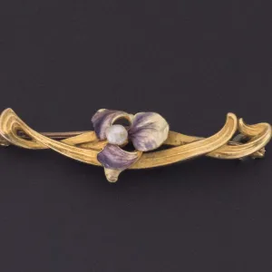 Antique Iris Brooch | 14k Gold Iris Brooch