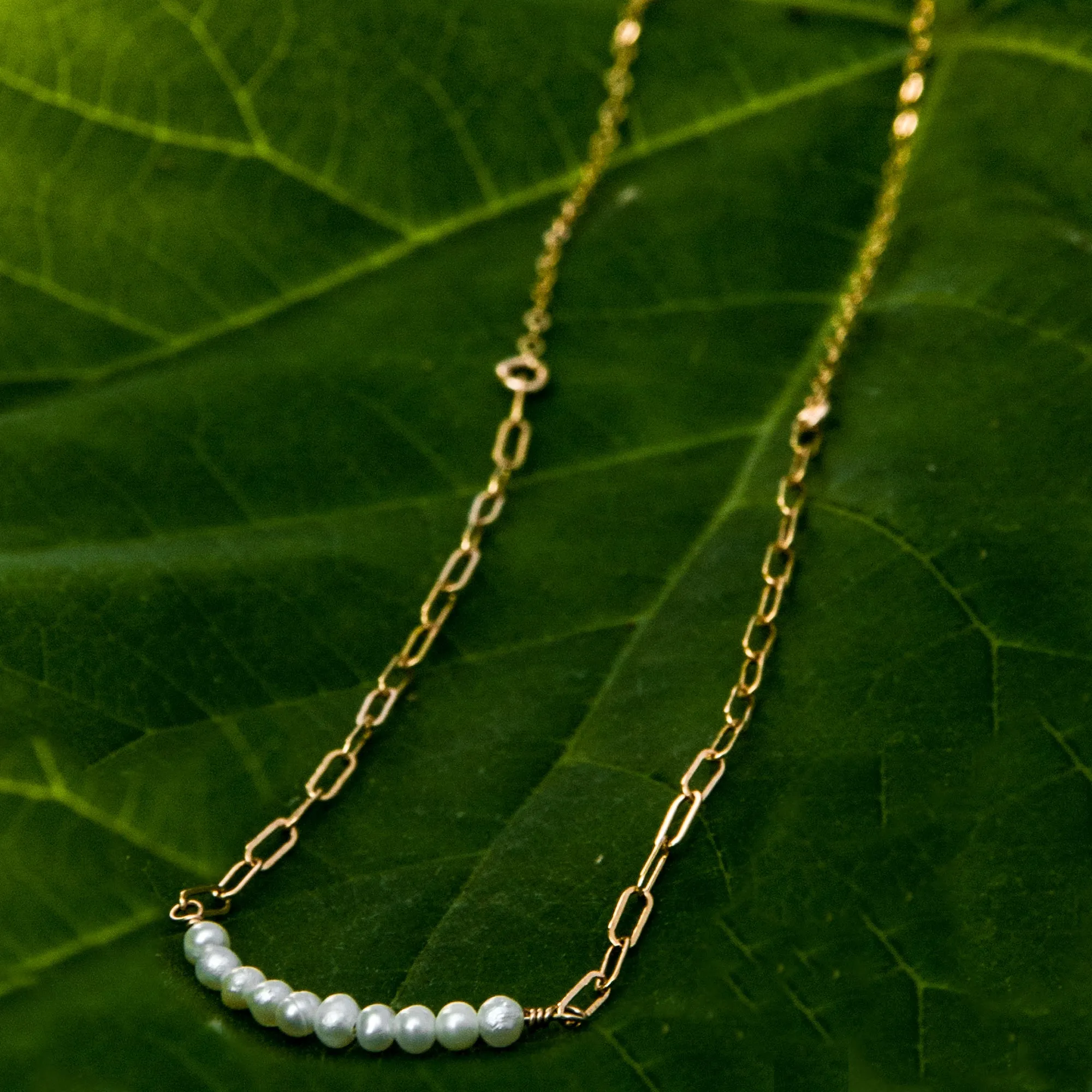 baby pearl bar duo-chain necklace