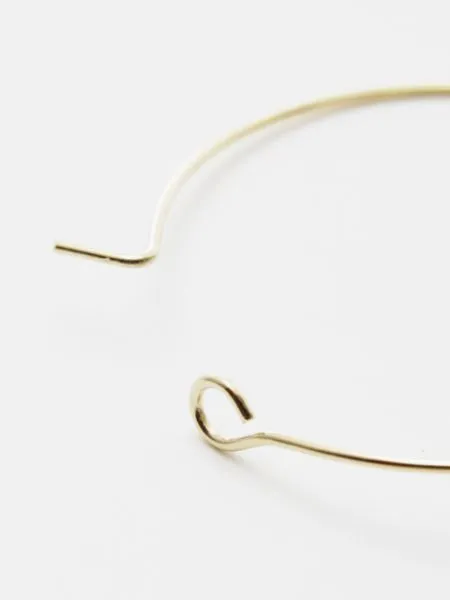 Birthstone Crystal Hoop Earrings