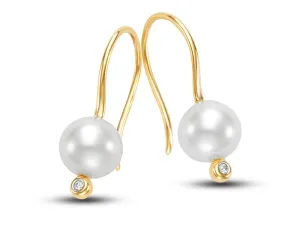 Diamond Bezel Drop Earrings