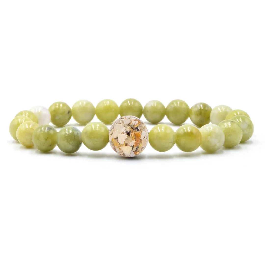 Florida Shells   Peridot