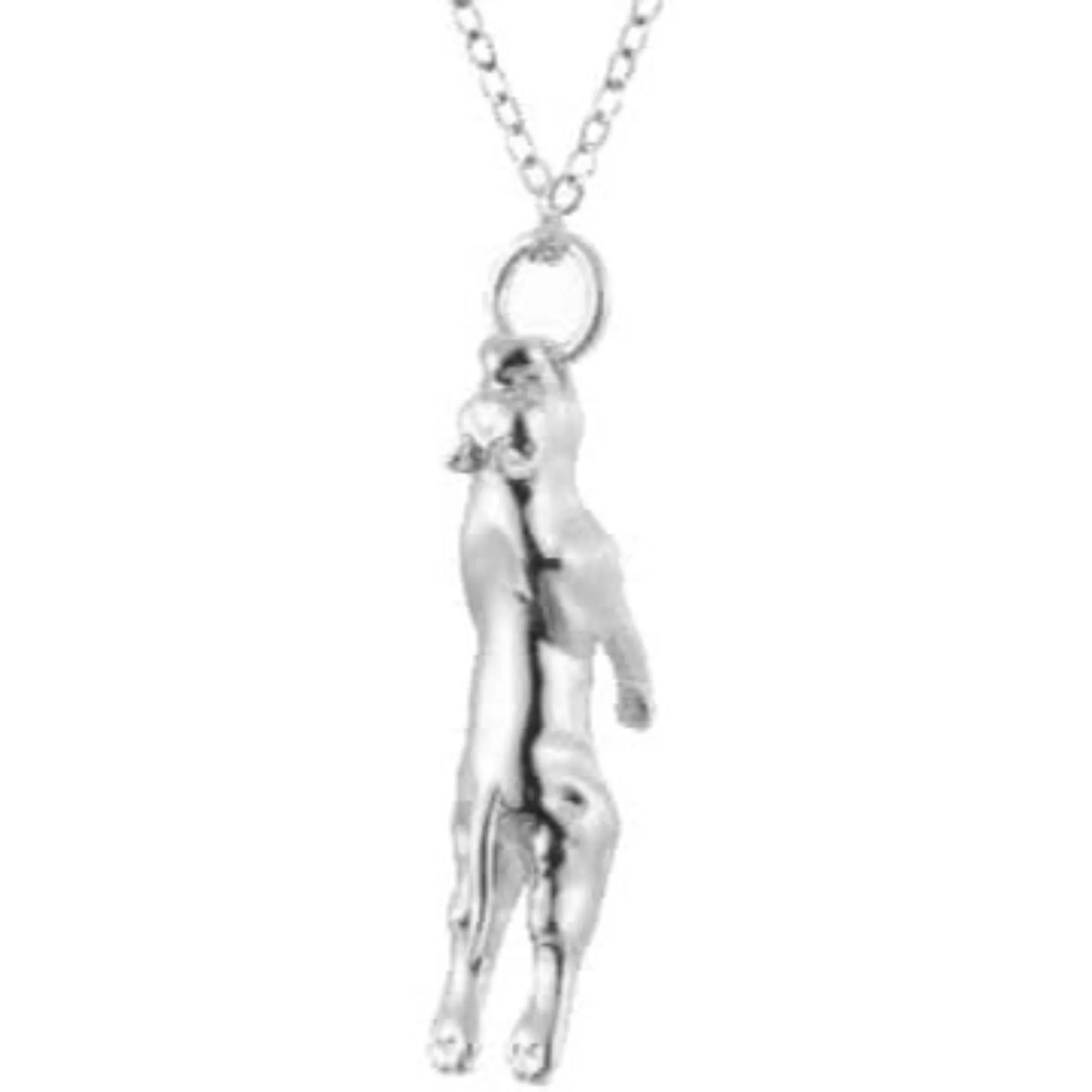 Hanging Pitbull Dog Necklace