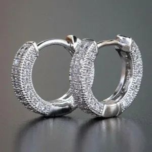 Inlaid Crystals Silver Tone Small Hoop Earrings