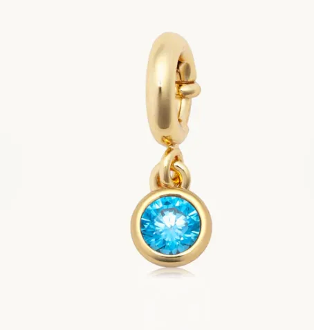 LW Birthstone Charm