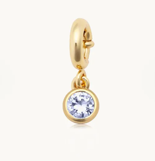 LW Birthstone Charm