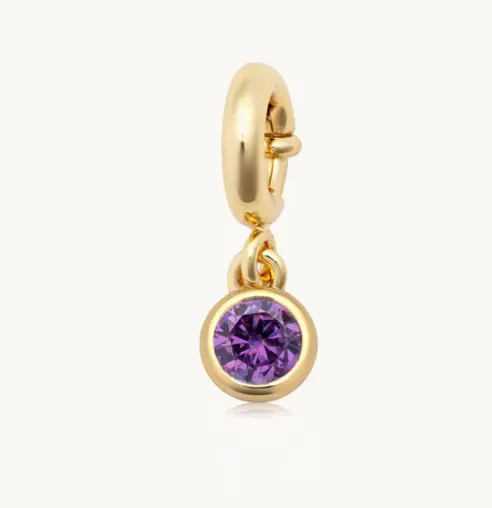 LW Birthstone Charm