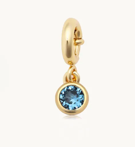 LW Birthstone Charm