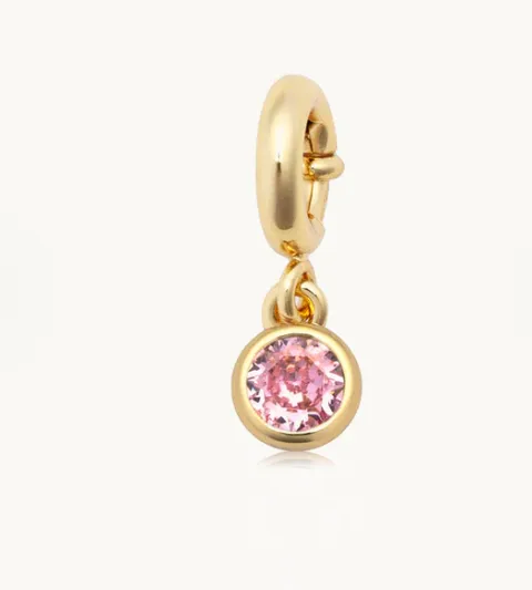 LW Birthstone Charm