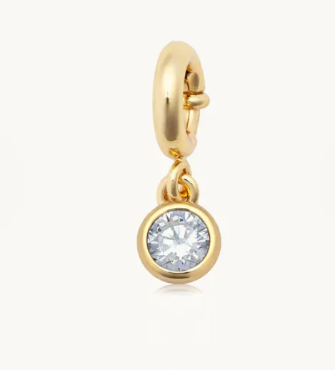 LW Birthstone Charm