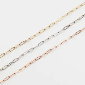 Paperclip Chain Anklet