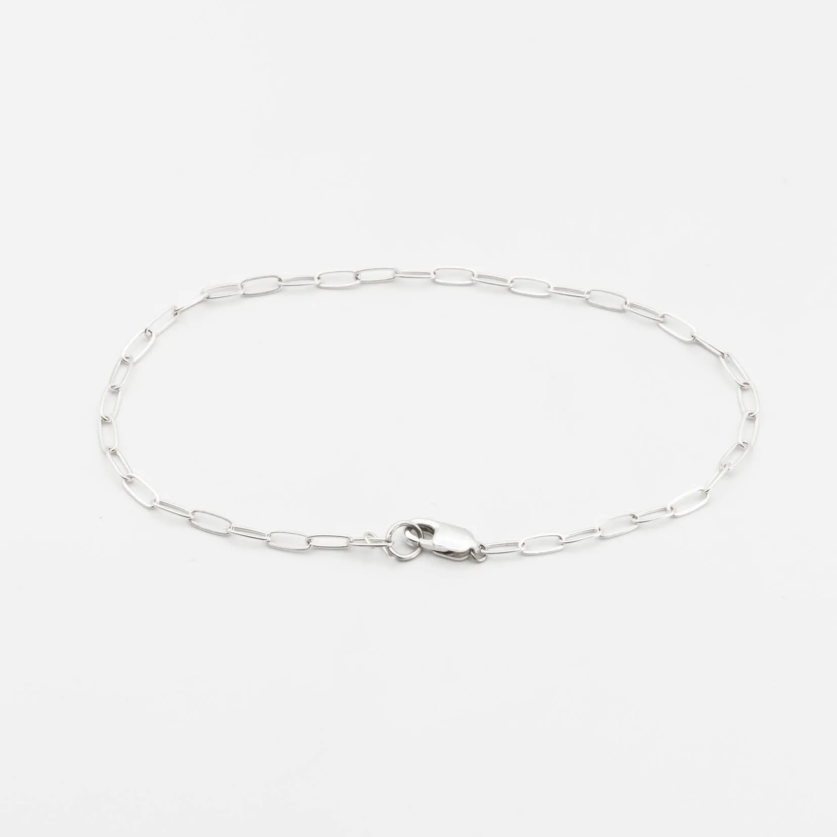 Paperclip Chain Anklet