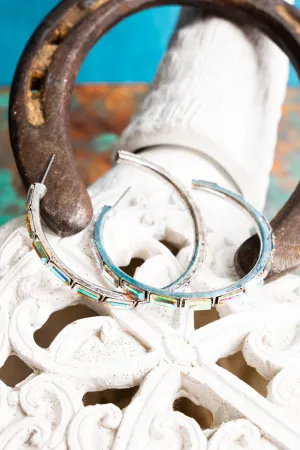Social Circle Iridescent Crystal Hoop Earrings