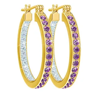 The Danbury Mint Birthstone Diamond Hoop Earrings (02 February) #9692-014